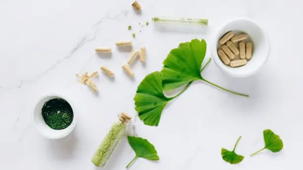 Ginkgo Biloba