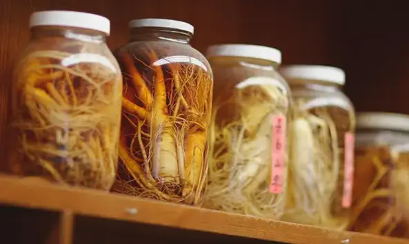 How to elaborate on the Ginseng Tincture