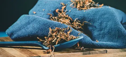 Steps to prepare it dagga salvaje