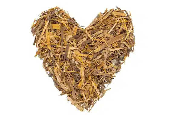 What are the advantages and disadvantages of Catuaba