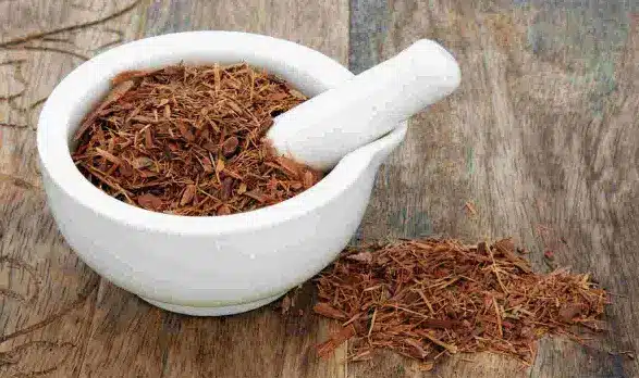 What is Catuaba bark