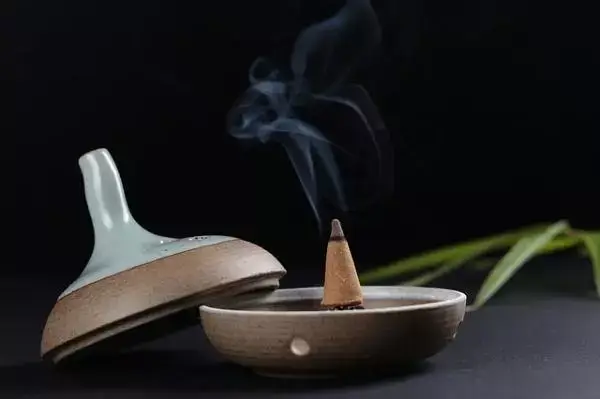 advantages and disadvantages of the sinicuichi flower